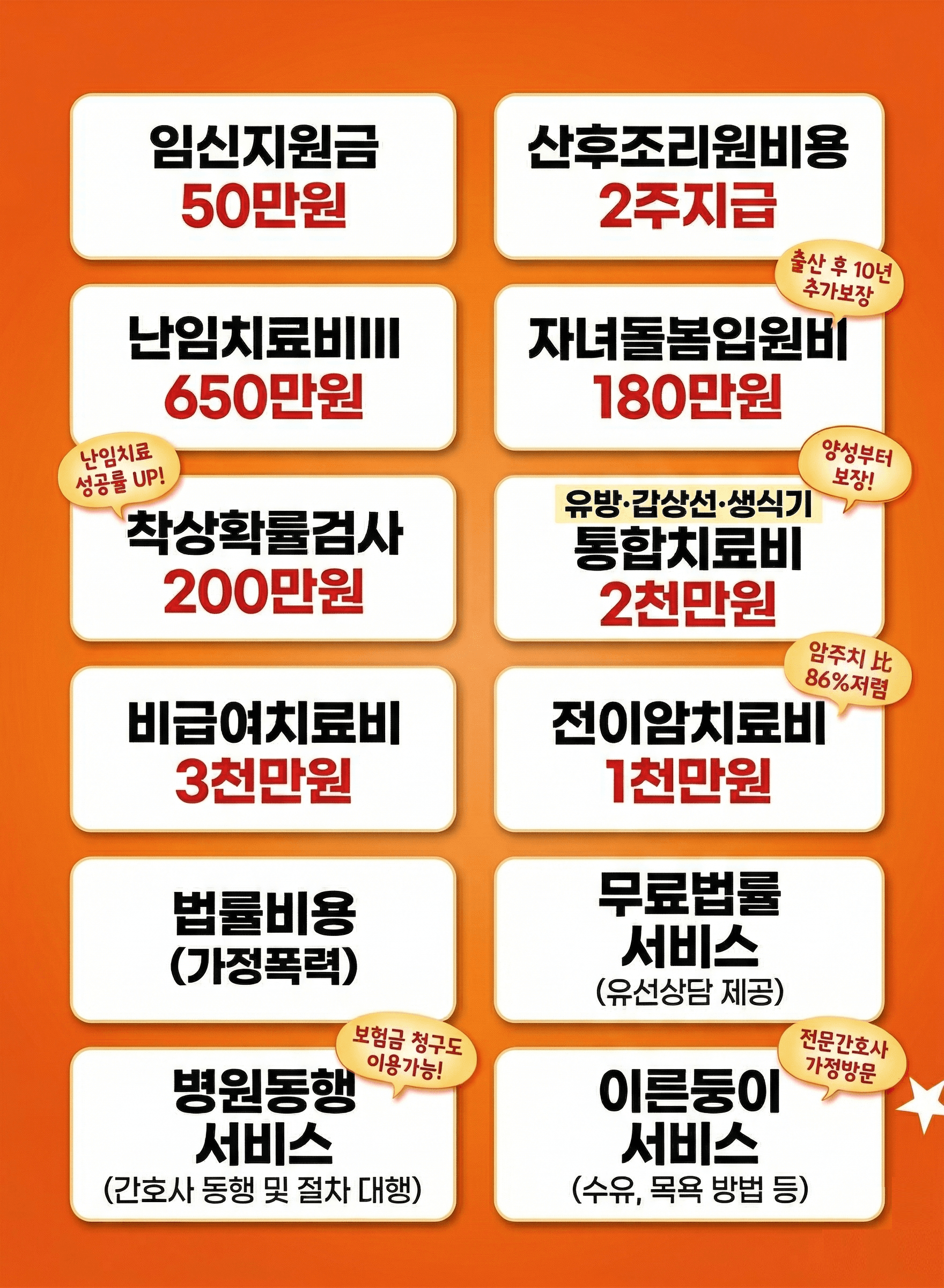 임신, 출산, 난임 및 여성 암 보장과 케어 서비스가 포함된 여성 전용 보험 안내 이미지